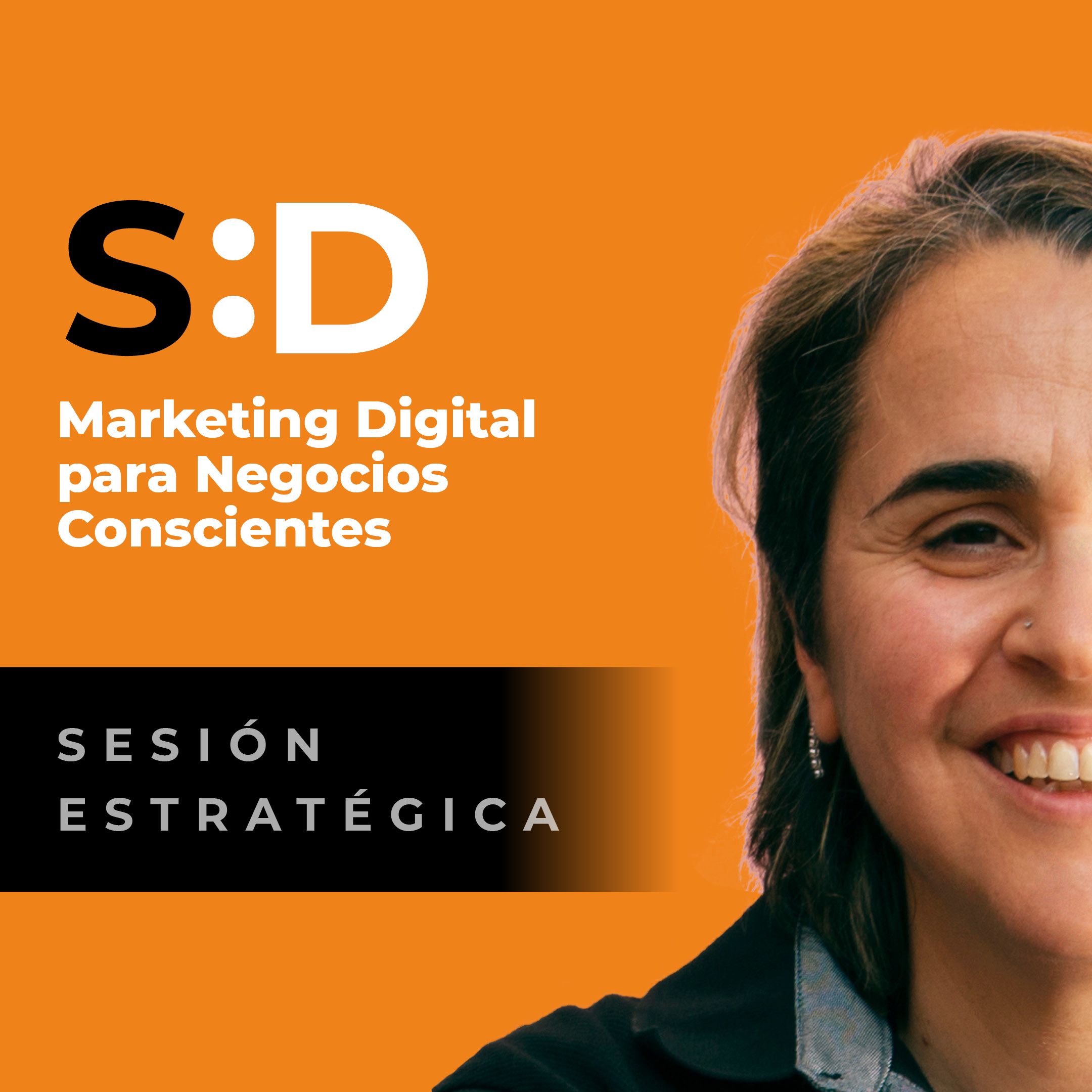 sesion estrategica silvina d